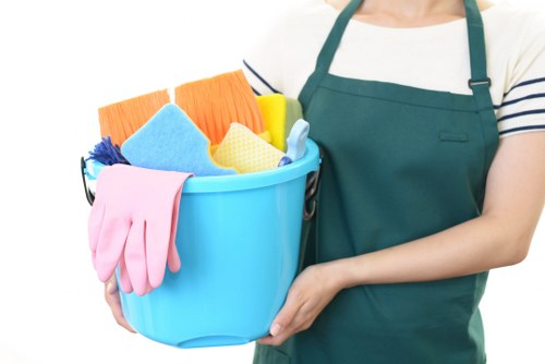 Move in cleaning for a spotless new home entry