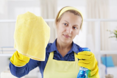 Professional upholstery cleaning on a sofa in a home living room