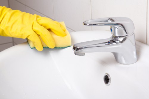 Home rug cleaning tools and stain treatment