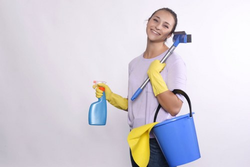 Final inspection after move out cleaning in a clean home