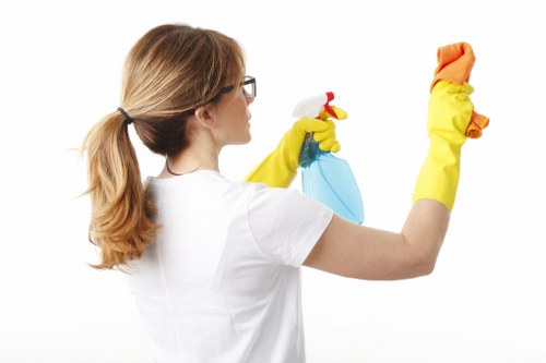 Professional oven cleaning process in a kitchen